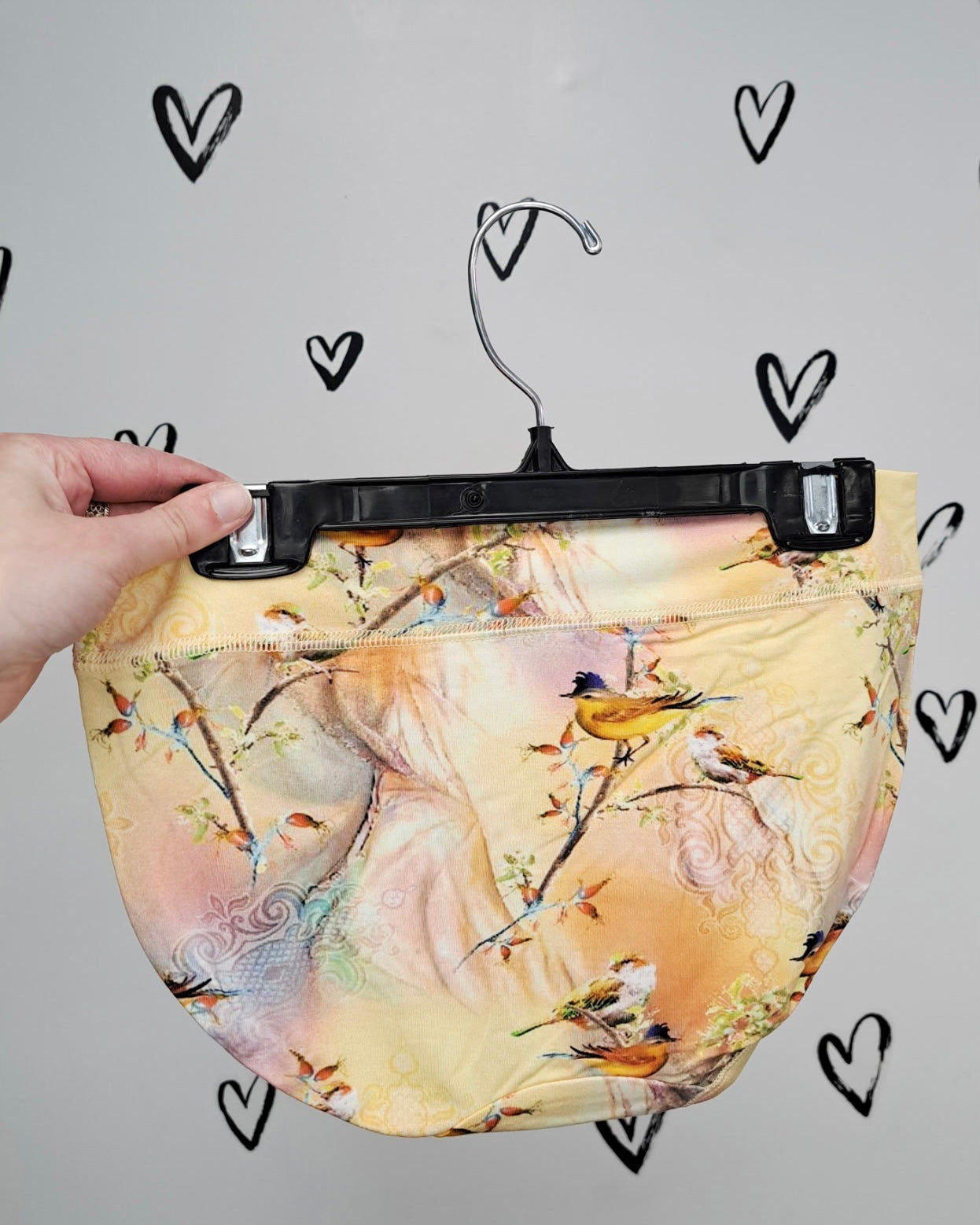 The Songbird Hipster Bamboo Underwear π