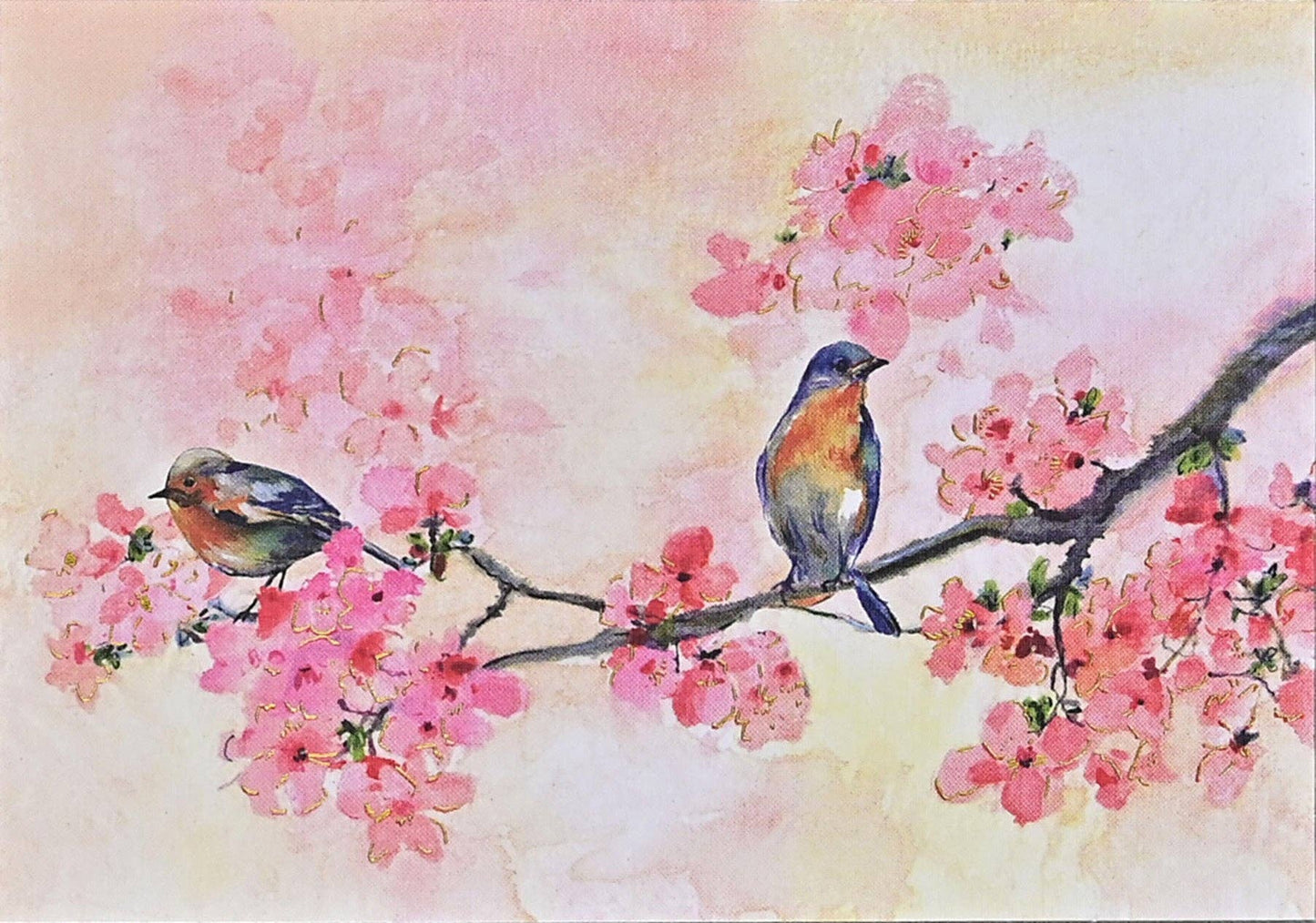 Cherry Blossoms in Spring 14 Greeting Cards