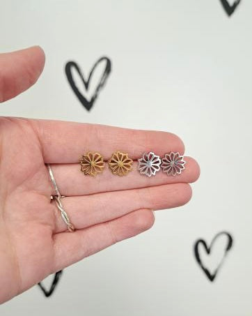 Chrysanthemum Flower Studs