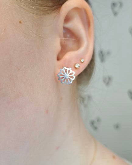 Chrysanthemum Flower Studs