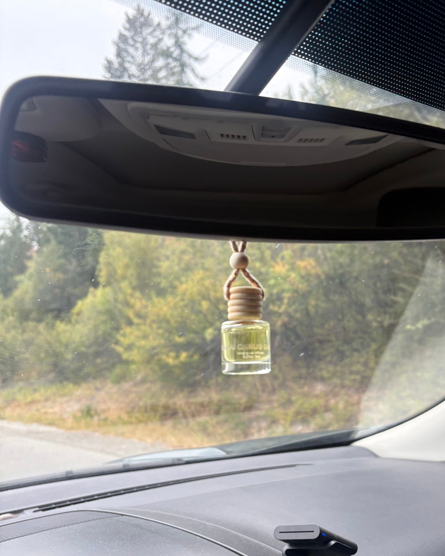 Yuzu Blush Car Diffuser 🍁