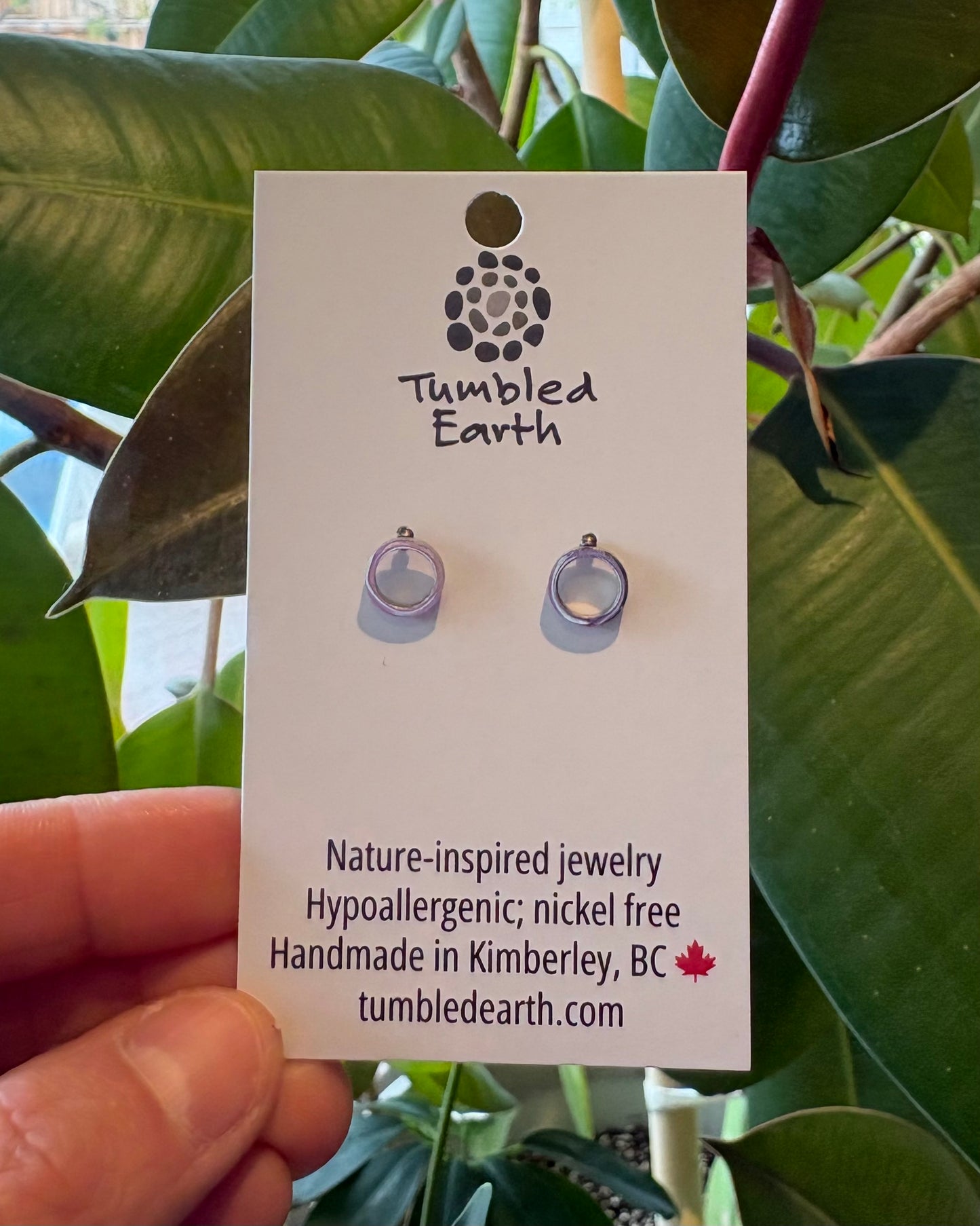 Circle Studs