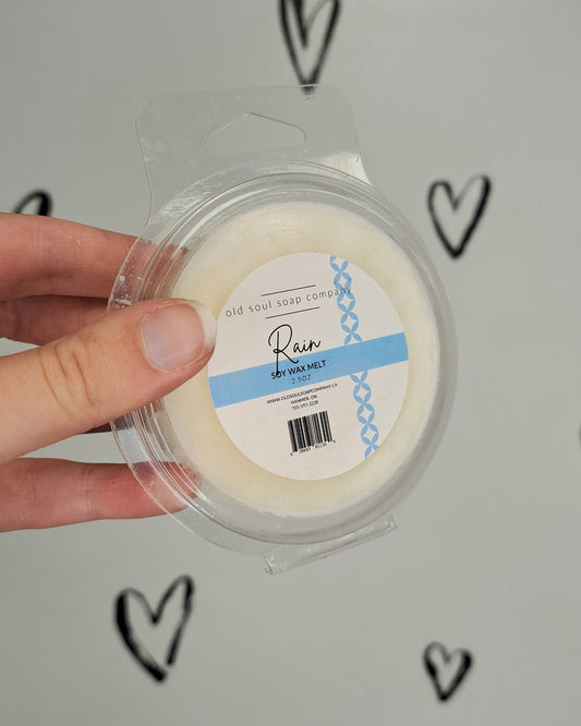Rain Scented Wax Melts 🍁