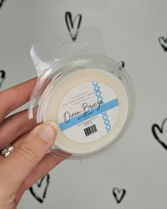 Ocean Breeze Scented Wax Melts 🍁