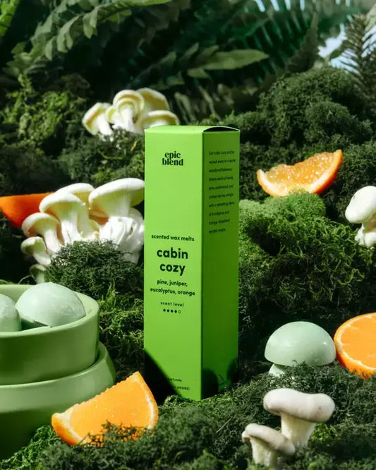 Cabin Cozy Scented Wax Melts π