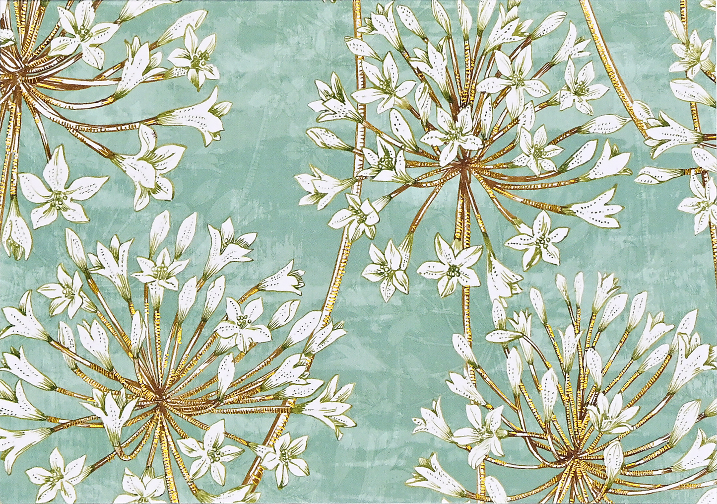 Allium Blossoms 14 Note Cards