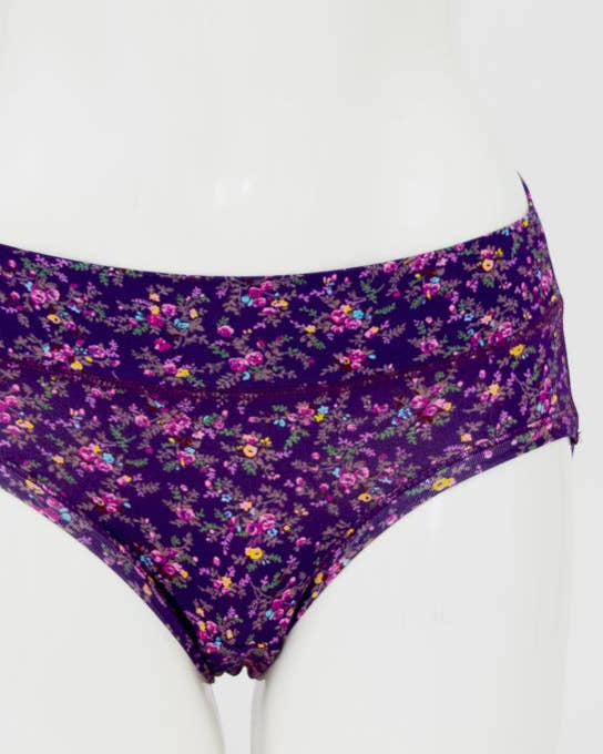 The Delight Hipster Underwear π