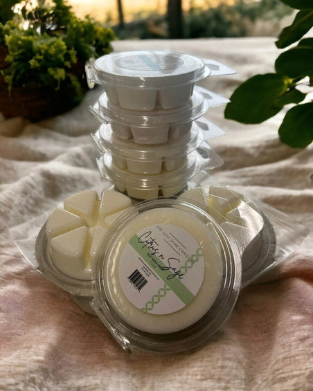 Ocean Breeze Scented Wax Melts 🍁