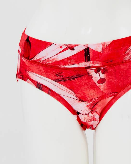 The Passion Hipster Bamboo Underwear π