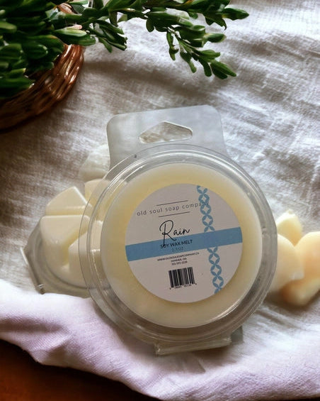 Rain Scented Wax Melts 🍁