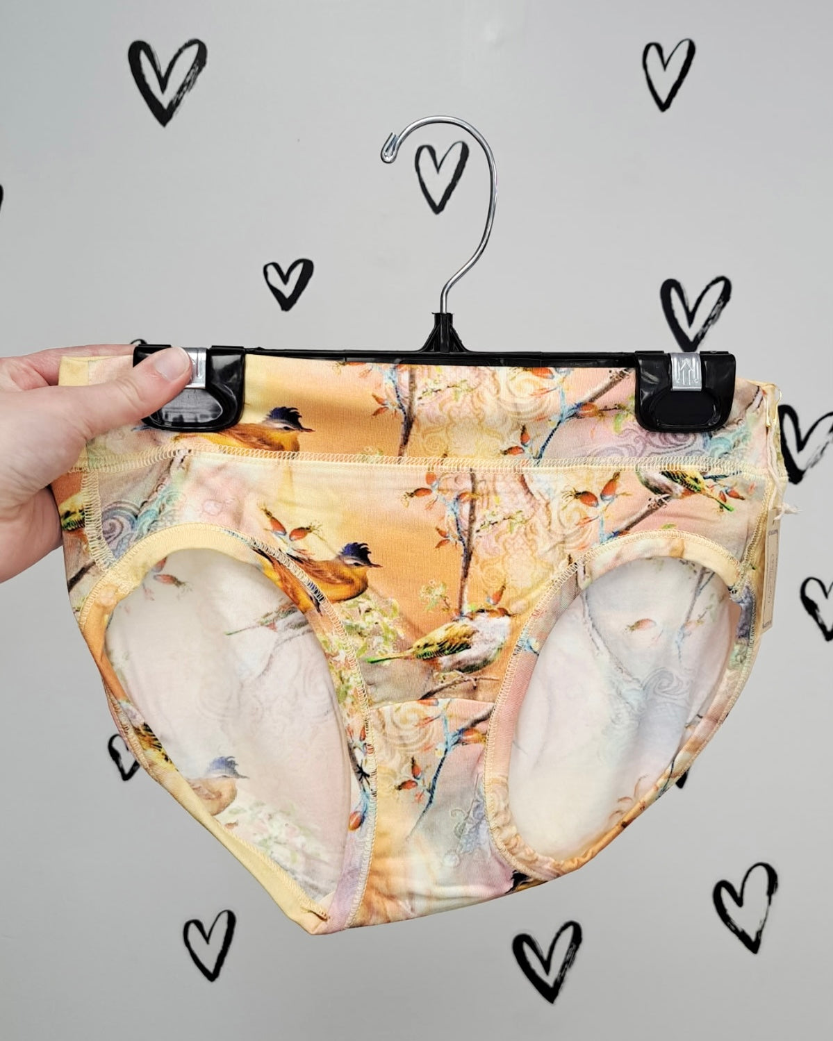The Songbird Hipster Bamboo Underwear π