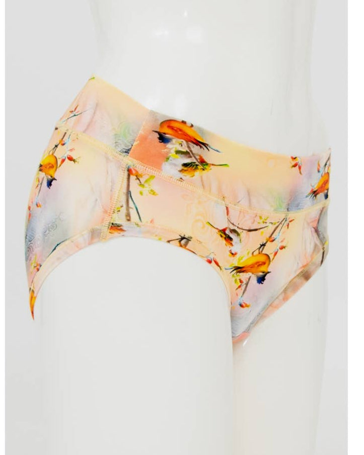 The Songbird Hipster Bamboo Underwear π