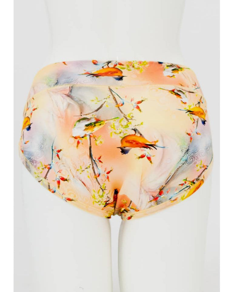 The Songbird Hipster Bamboo Underwear π