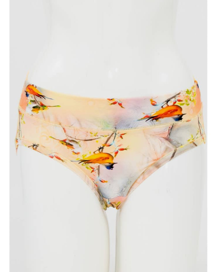 The Songbird Hipster Bamboo Underwear π
