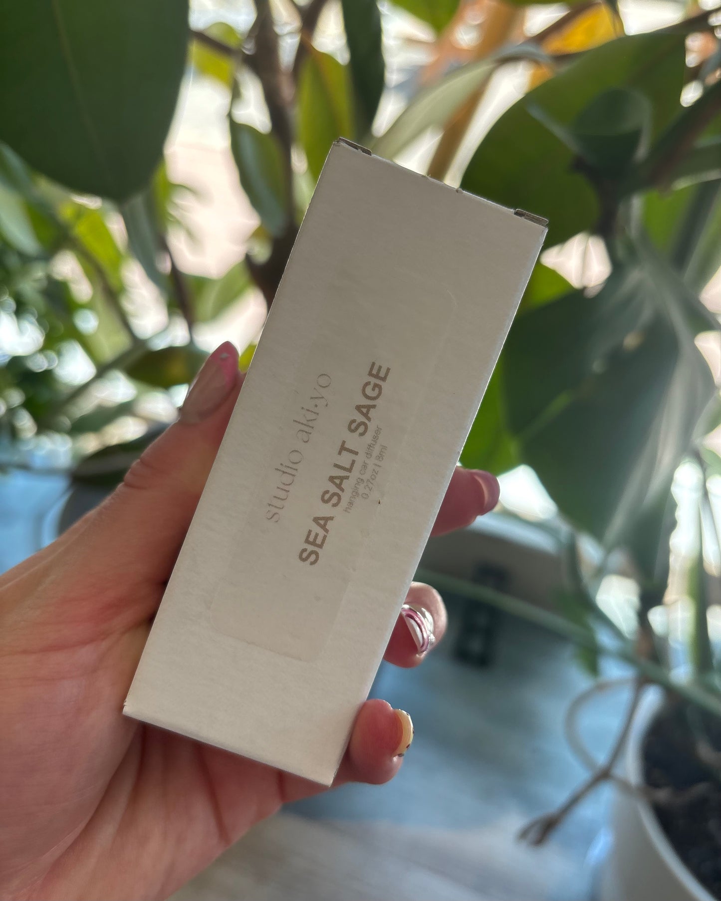 Sea Salt Sage Car Diffuser 🍁