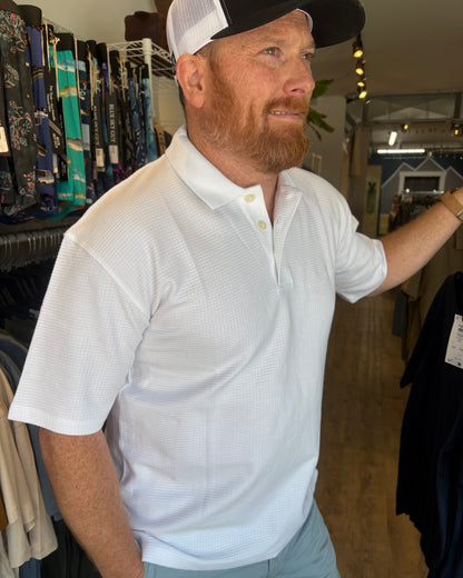 The Laryan Cotton Classic Polo Shirt: 3 COLORS