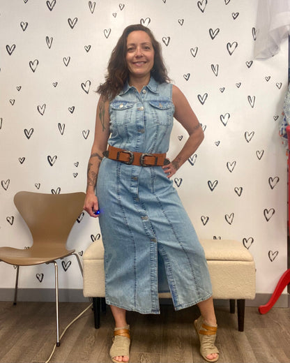 The Zadie Long Denim Dress