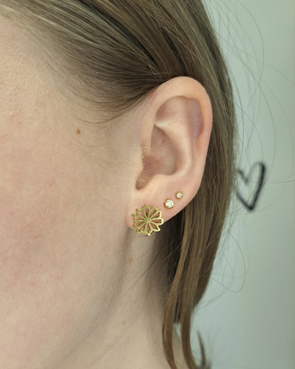 Chrysanthemum Flower Studs