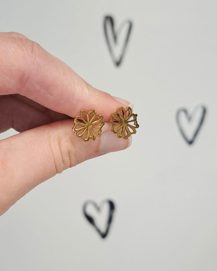 Chrysanthemum Flower Studs