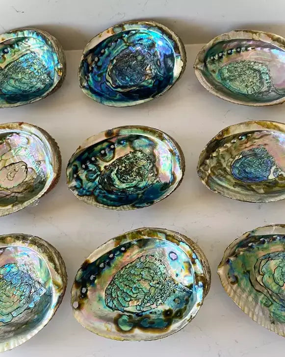 Abalone Shell Smudge Bowl – Tumbled Earth
