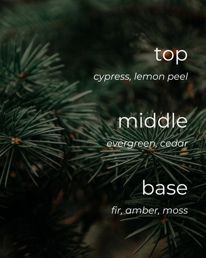 Fraser Fir Candle 🍁