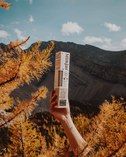 Golden Hour Reed Diffuser