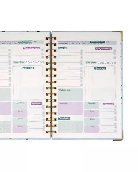 Pastel Rainbow Undated Daily Planner 🍁