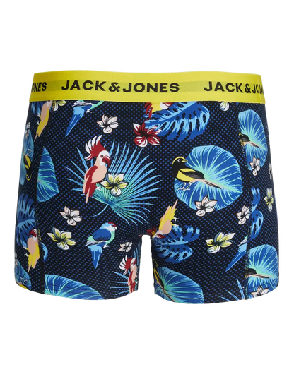 Bird 3-Pack Organic Cotton Trunks