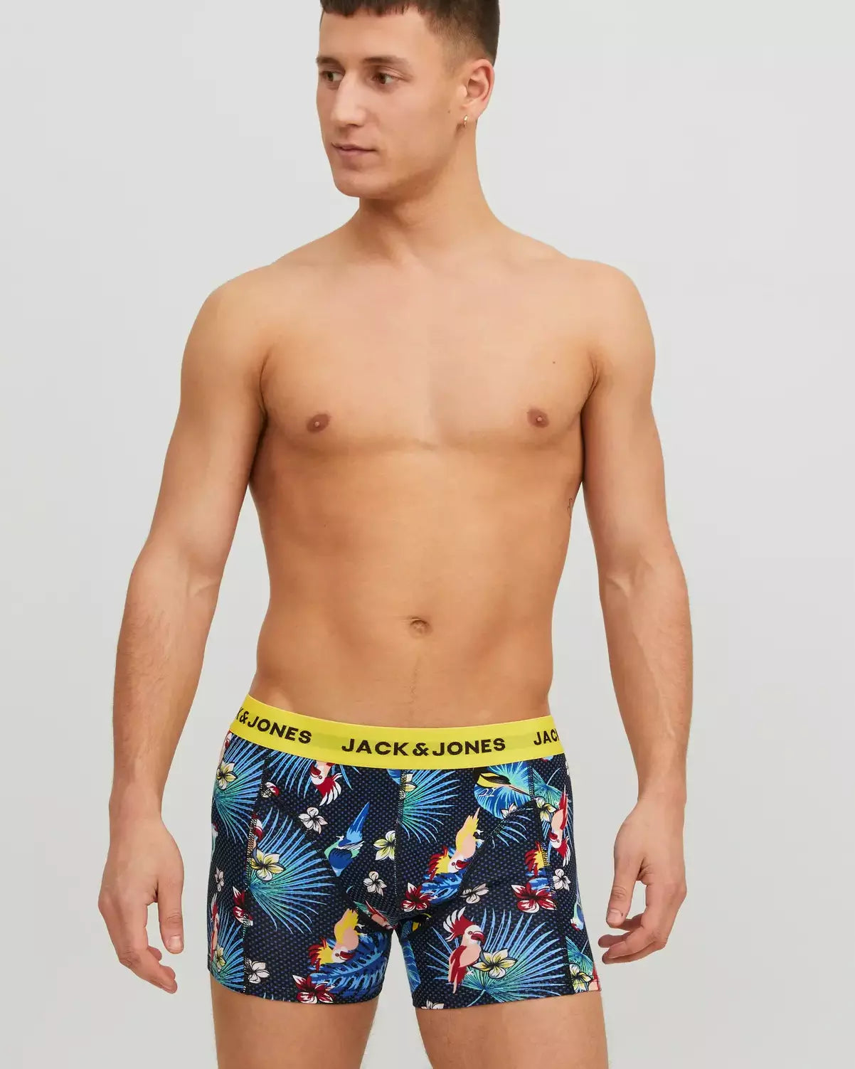 Bird 3-Pack Organic Cotton Trunks