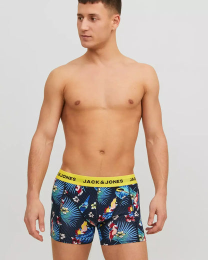 Bird 3-Pack Organic Cotton Trunks