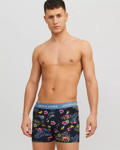 Bird 3-Pack Organic Cotton Trunks