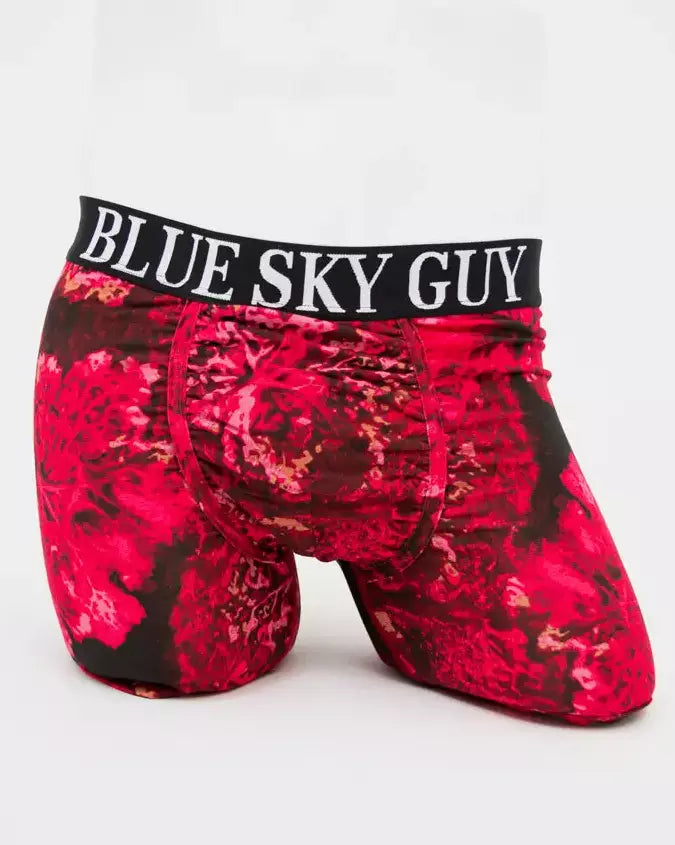 Normandy Men's Bamboo Boxer Briefs 🍁