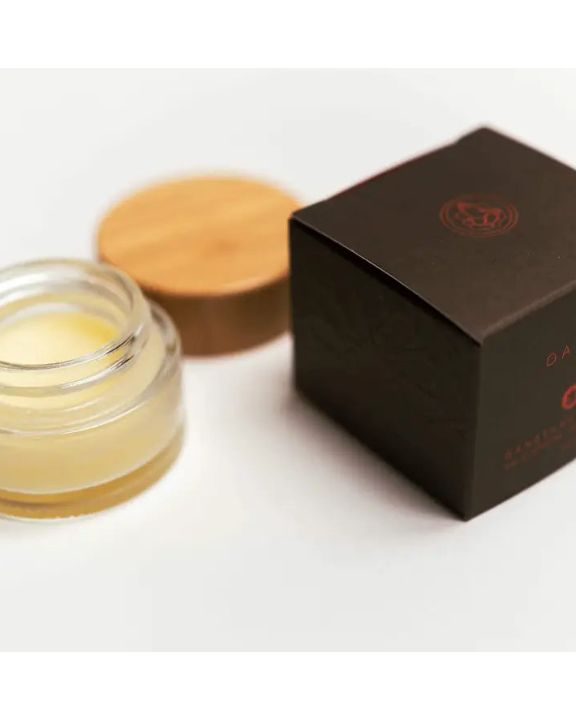 Oasis Solid Perfume 🍁